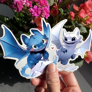 Reusable Toothless & Light Fury Stickers