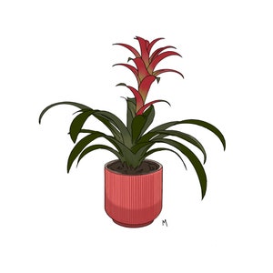 Plant Art Print