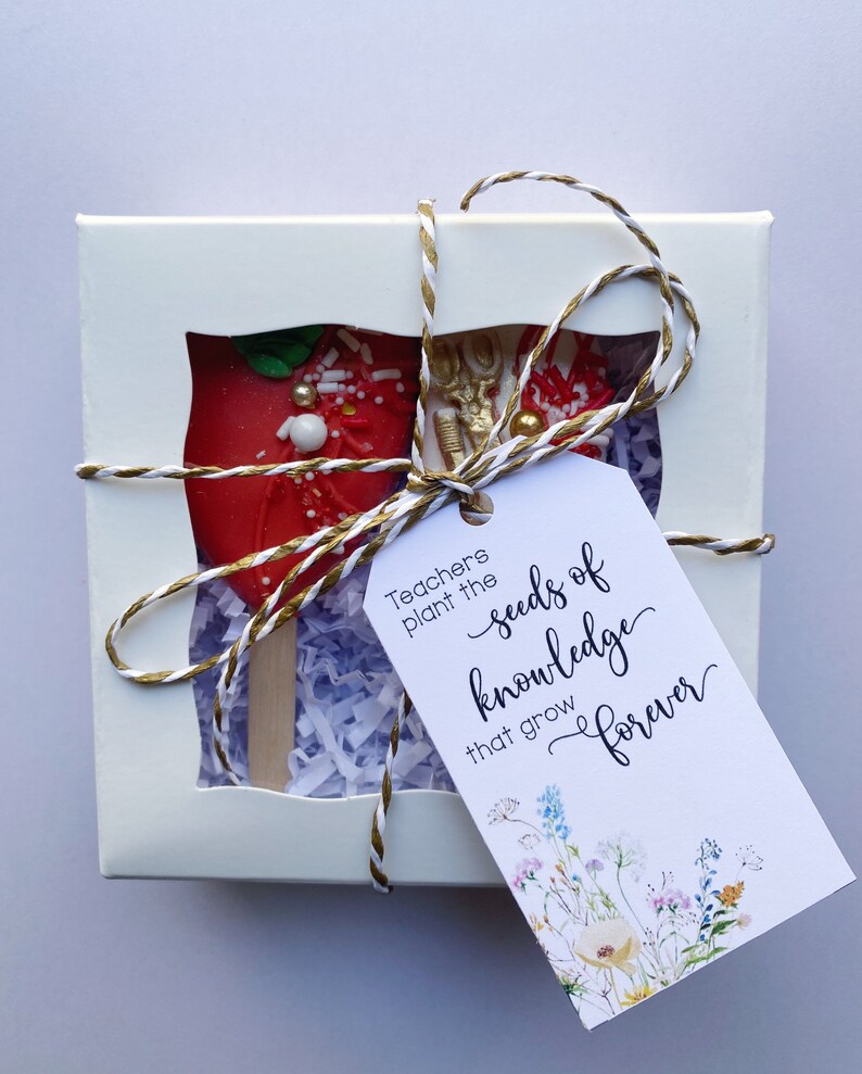 Red Apple Teacher Gift Cakesicles Gift Set 2 Teacher Etsy