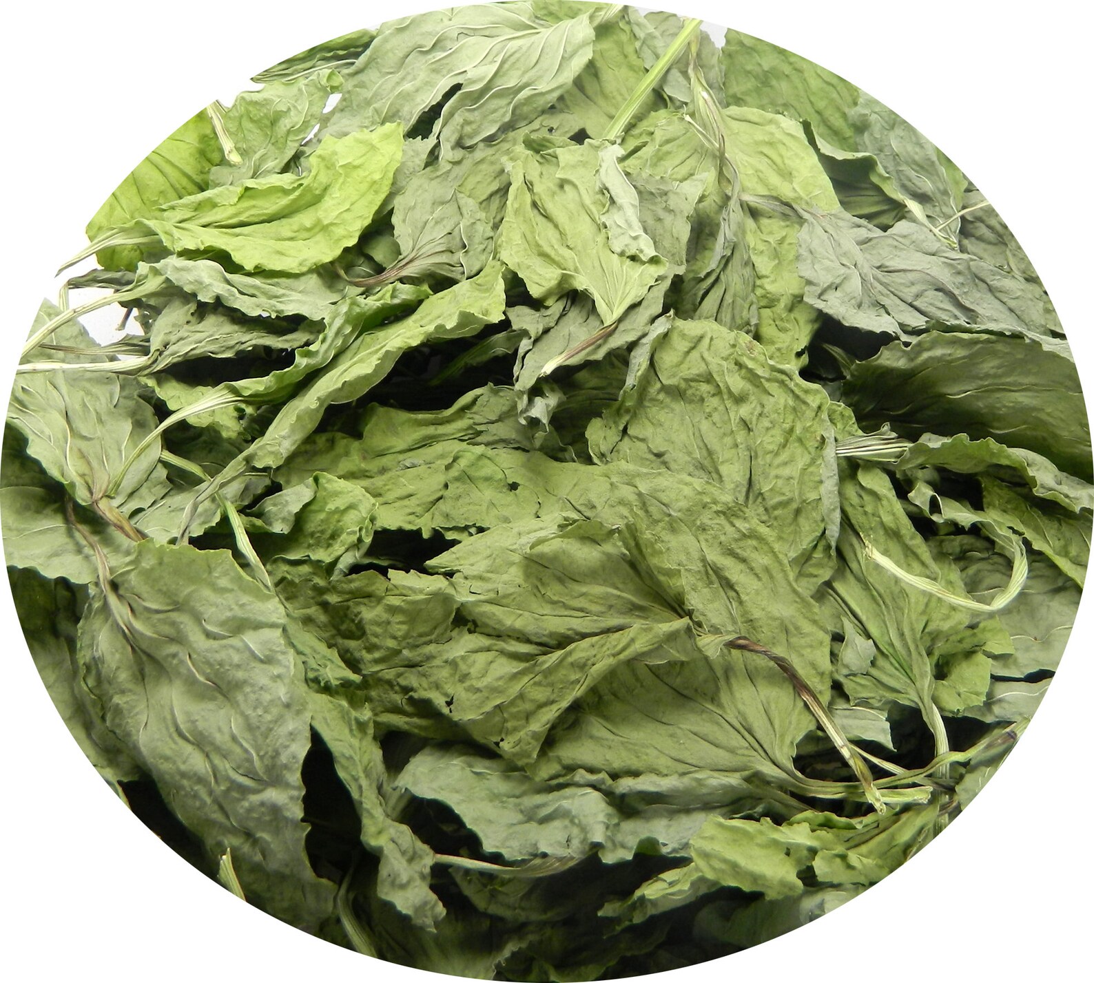 Organic dried Plantain leaves Сушеные листья подорожника | Etsy