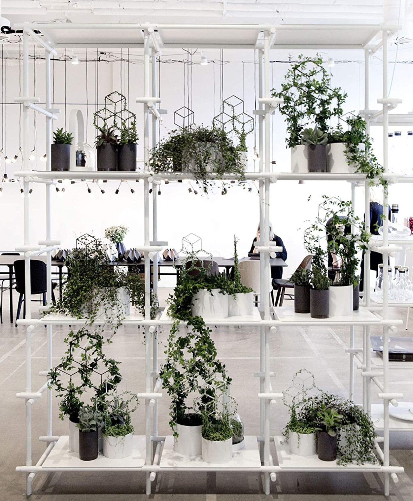 Enrejado de metal de jardín enrejado de plantas para plantas | Etsy