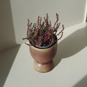 Hand crafted stoneware house plant pot Small glazed home accessory Unique Indoor flower Cute succulent Cactus stand Trendy Pink image 7