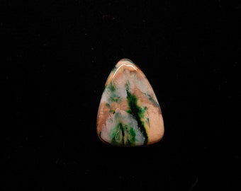 Fossilized Mammoth Tooth Pendant NeolithicF21