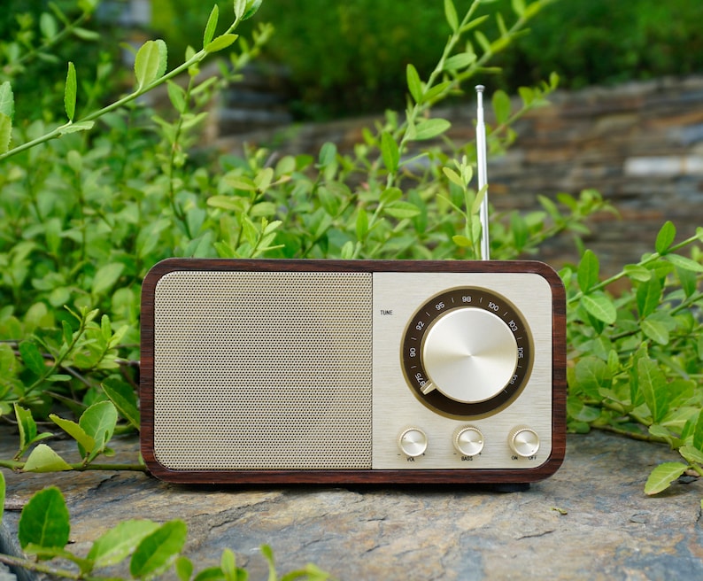 Pu&ograve; includere: Una radio in legno in stile vintage con un quadrante e manopole dorate. La radio ha una griglia dell'altoparlante nera e un'antenna argentata.