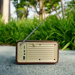 Pu&ograve; includere: Una radio in legno in stile vintage con un pannello frontale color oro e un'antenna telescopica. La radio ha diversi pulsanti e porte sul davanti, tra cui una porta USB, uno slot per schede SD e un ingresso ausiliario.