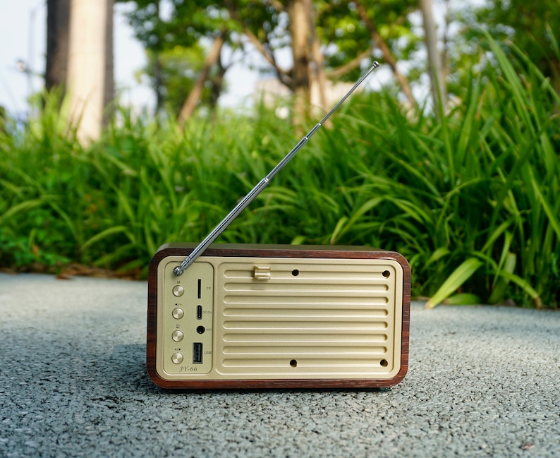 Pu&ograve; includere: Una radio in legno in stile vintage con un pannello frontale color oro e un'antenna telescopica. La radio ha diversi pulsanti e porte sul davanti, tra cui una porta USB, uno slot per schede SD e un ingresso ausiliario.