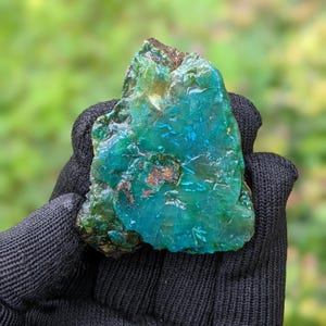 May include: A vibrant, irregularly shaped gemstone with a mix of teal, turquoise, and deep blue hues. The stone has a textured surface with areas of brown and green, held in a black glove. The background is a blurred green.