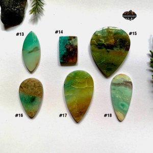 Blue Opal petrified wood and very rare wood Best Cabochon AAA+