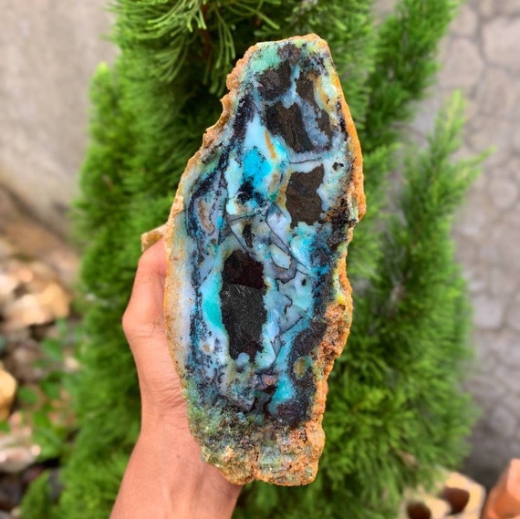 Opalized petrified wood best sale