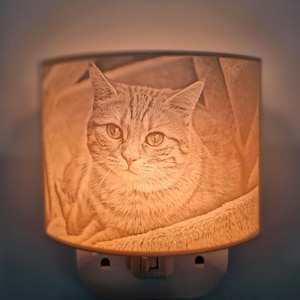 Personalized High Detail 3D Print Resin Lithophane Night Light  - Perfect Gift for Birthdays, Weddings, Graduations, Couples, Kids & Pets