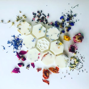 Wood Sage & Sea Salt 4 x Botanical Wax Melts Scented Vegan Friendly and Cruelty Free Gift image 4