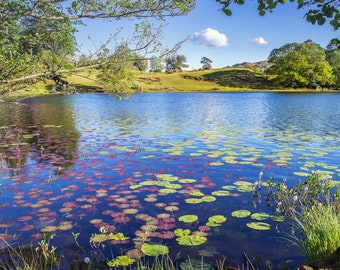 10 Photographic Greeting cards. Lake District Collection. FREE delivery