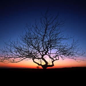 10 Foto-Grußkarten. Sonnenaufgang / Sonnenuntergang KOSTENLOSE Lieferung.
