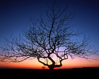 10 Photographic Greeting Cards. Sunrise / Sunset  FREE Delivery.