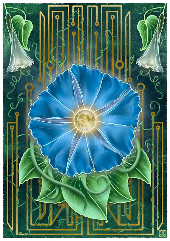 Moonflower Art Print Moonflower Art Print
