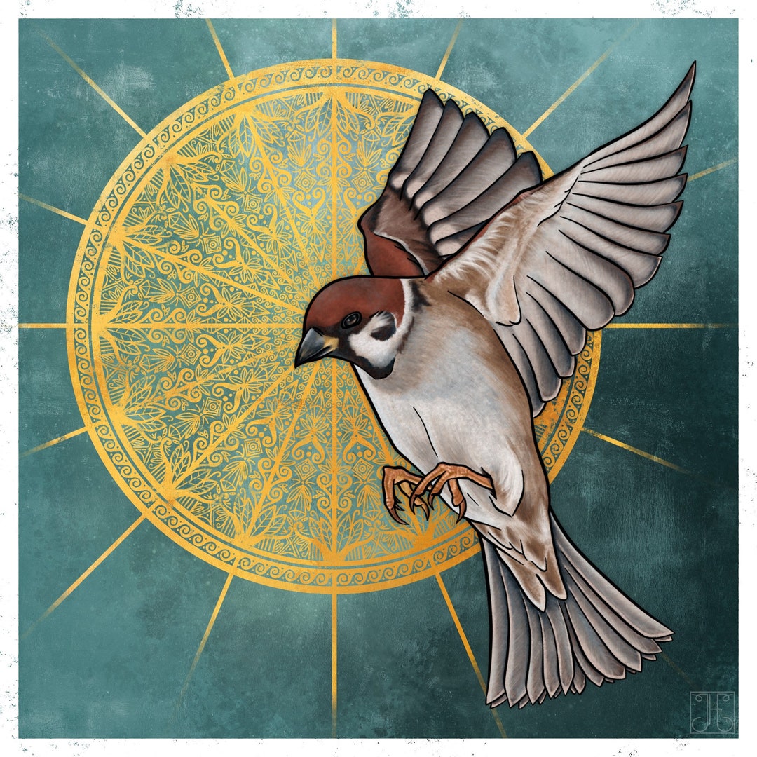 Sparrow With Halo Square Print Etsy UK