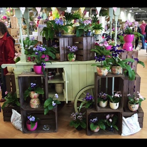 May include: A green wooden cart filled with potted plants, including purple and pink flowers. The cart is decorated with bunting and is surrounded by wooden crates stacked with more plants.