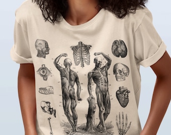 Chemise anatomique • Illustration médicale vintage • Système squelettique d'anatomie humaine
