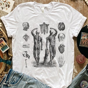 Antique Anatomical Drawing Tshirt • Vintage Anatomy Art Tee • Victorian Medical Ephemera Shirt • Dark Academia Skeletal Muscular System Top