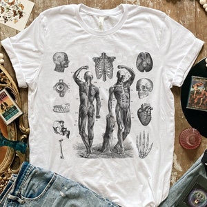 Human Anatomy Art Graphic Tee • Vintage Medical Biology Tshirt • Anatomical Drawing • Antique Human Skeleton • Nerdy Halloween Science Shirt