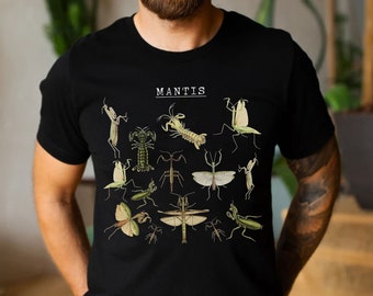 Praying Mantis Specimen Shirt • Vintage Insect Chart Graphic Tee • Natural History Tee for Bug Collectors