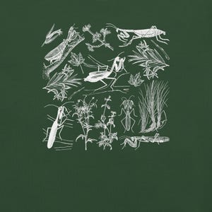 May include: A dark green background features a white illustration of praying mantises, leaves, and various plants. The detailed drawing style showcases the insects and foliage in a botanical theme.