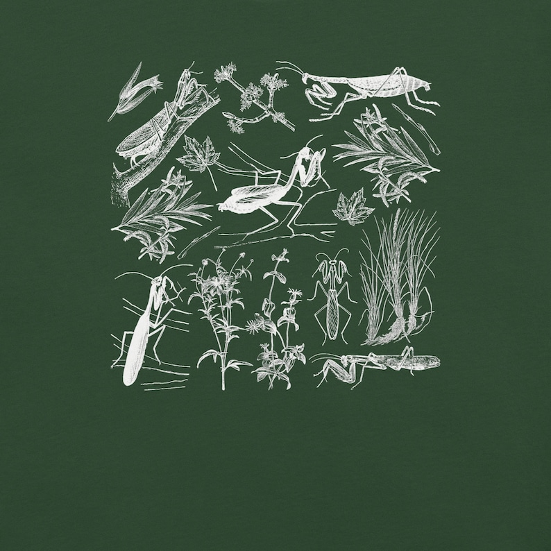 May include: A dark green background features a white illustration of praying mantises, leaves, and various plants. The detailed drawing style showcases the insects and foliage in a botanical theme.