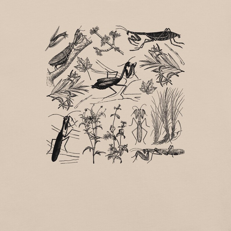 May include: A beige print featuring detailed black ink illustrations of various insects, including praying mantises and grasshoppers, along with botanical elements like leaves and sprigs. The artwork has a vintage, scientific illustration style.