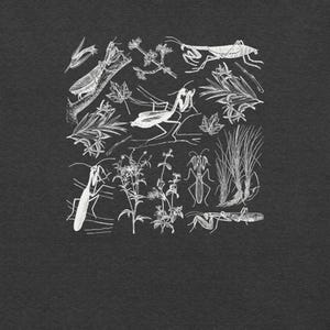 May include: A detailed white ink illustration on a dark gray background. The artwork features various insects, including praying mantises, and botanical elements like leaves and sprigs. The design has a vintage, scientific aesthetic.
