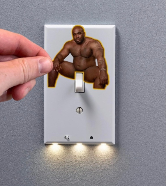 Wood Light Switch Decal Funny Prank Lol - Etsy