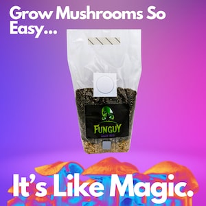 All-in-One Mushroom Growing Kit Bag Grow Substrate & Rye Grain Like Magic
