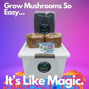 May include: A white plastic storage container with a black lid and a black and white sticker that says "Grow Mushrooms So Easy... It's Like Magic." The container is filled with two bags of brown grain, one bag of black grain, and two small bags of blue and green liquid.