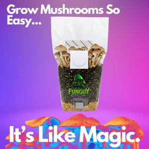 All-in-One Mushroom Growing Kit Bag Grow Substrate & Rye Grain Like Magic