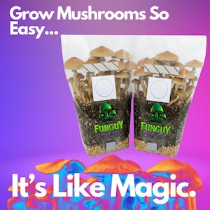 2 - All-in-One Mushroom Growing Kit Bag Grow Substrate & Rye Grain Like Magic