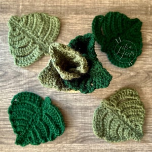 Monstera Coasters