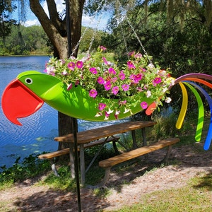 Gabby-- Natural colored Green Parrot that has always been a customer favorite.  :)