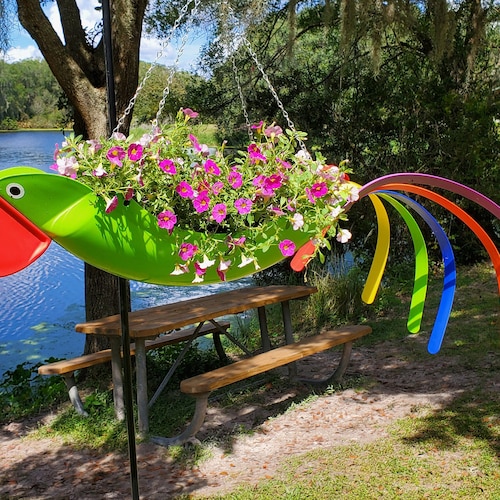 Gabby-- Natural colored Green Parrot that has always been a customer favorite.  :)