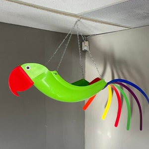 Gabby Natural colored Green Parrot that has always been a customer favorite. : image 10