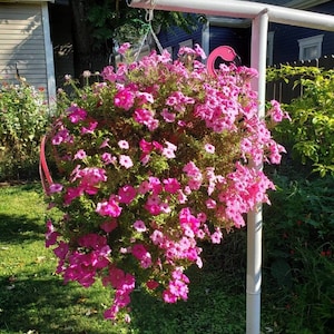 Fancy Flo the Flamingo. Definitely a must have. Bright pink in color and manufactured by USA Planter. image 9