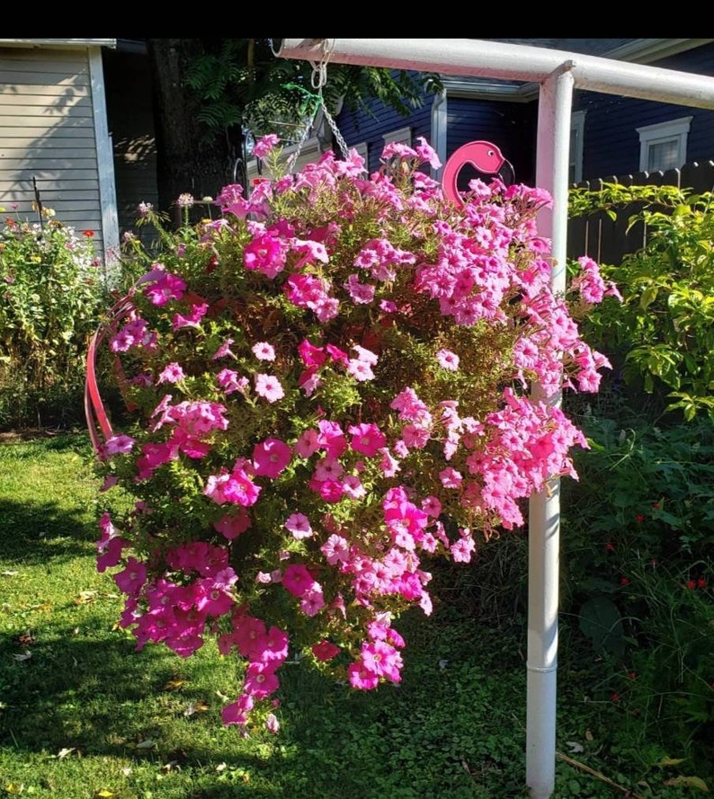 Fancy Flo the Flamingo. Definitely a must have. Bright pink in color and manufactured by USA Planter. image 9