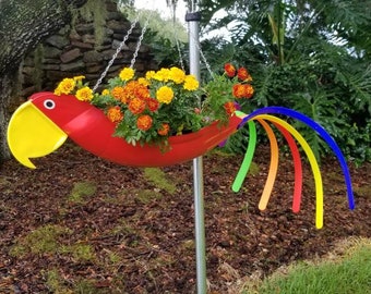 Rosie is a bright red body parrot with a yellow beak and multi-colored tails. A nice and colorful addition to any home.