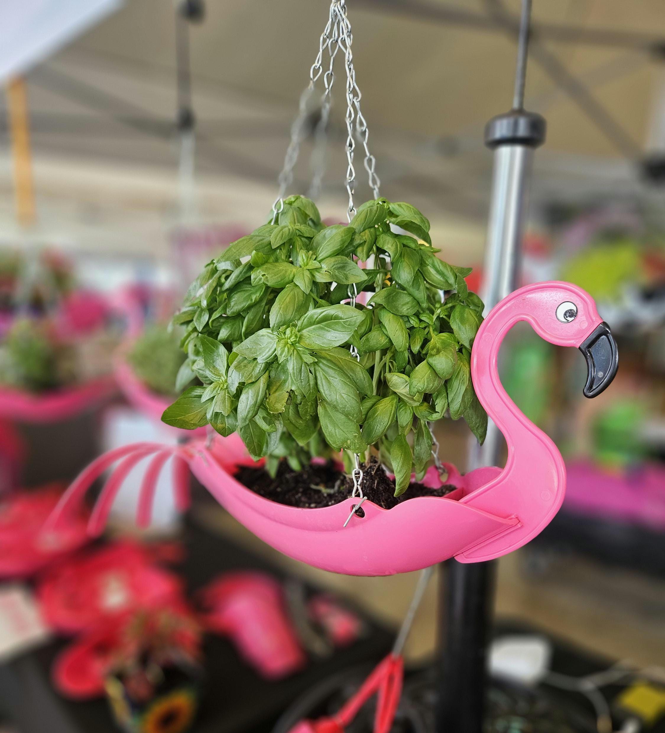 MINI Flamingo Planter  Pink Recyclable Planter, Awesome Gift for Garden &  Flamingo Lovers - Etsy