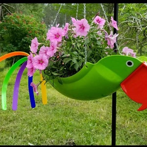 Gabby Natural colored Green Parrot that has always been a customer favorite. : image 2