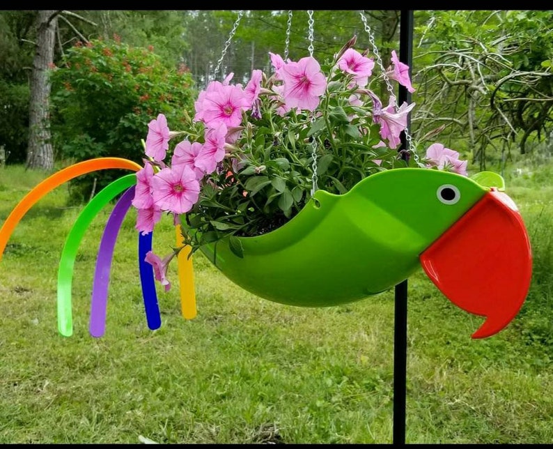 Gabby Natural colored Green Parrot that has always been a customer favorite. : image 2