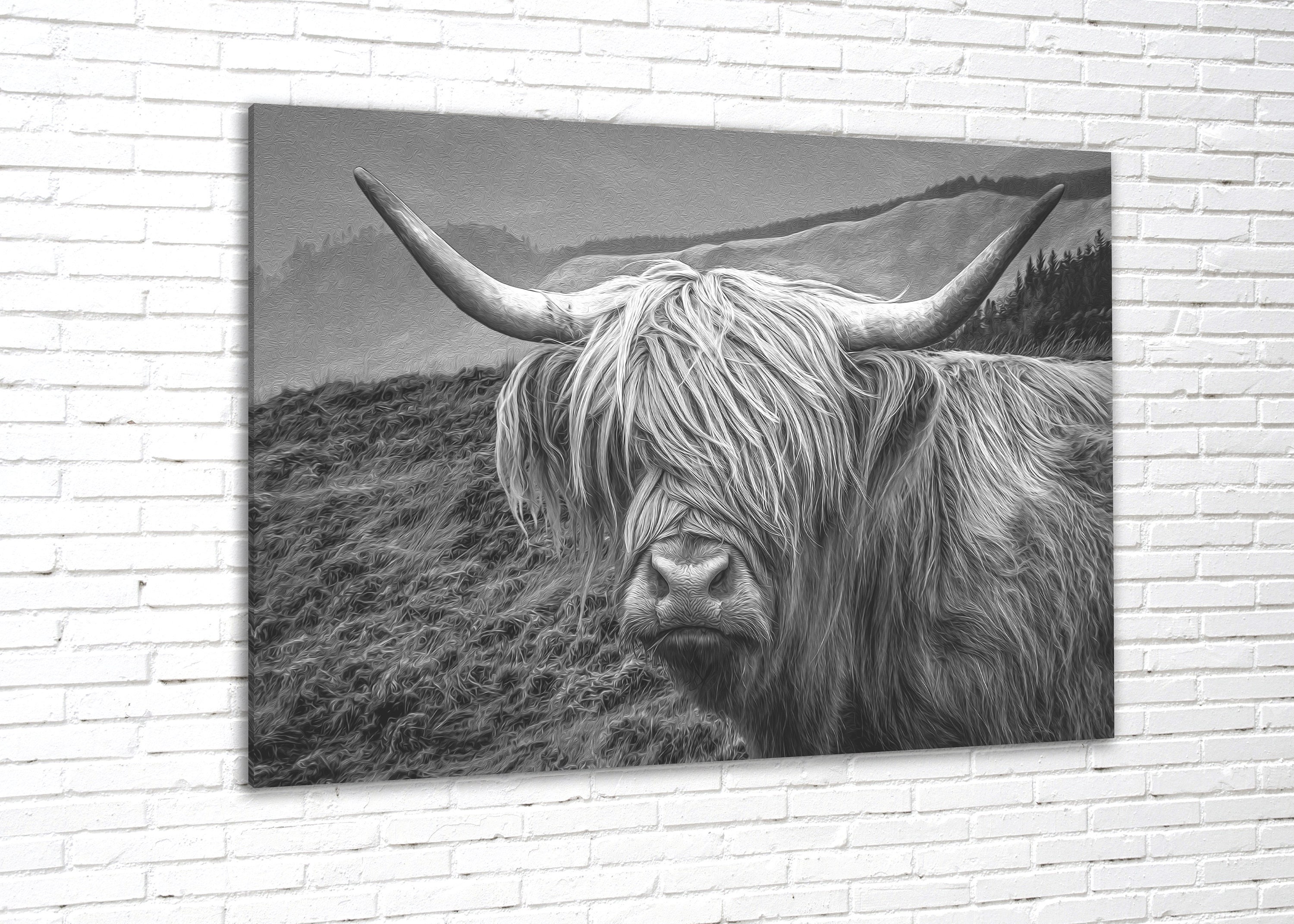 Highland Cow Black and White Wall Art Canvas Print UK Modern Animal Art
