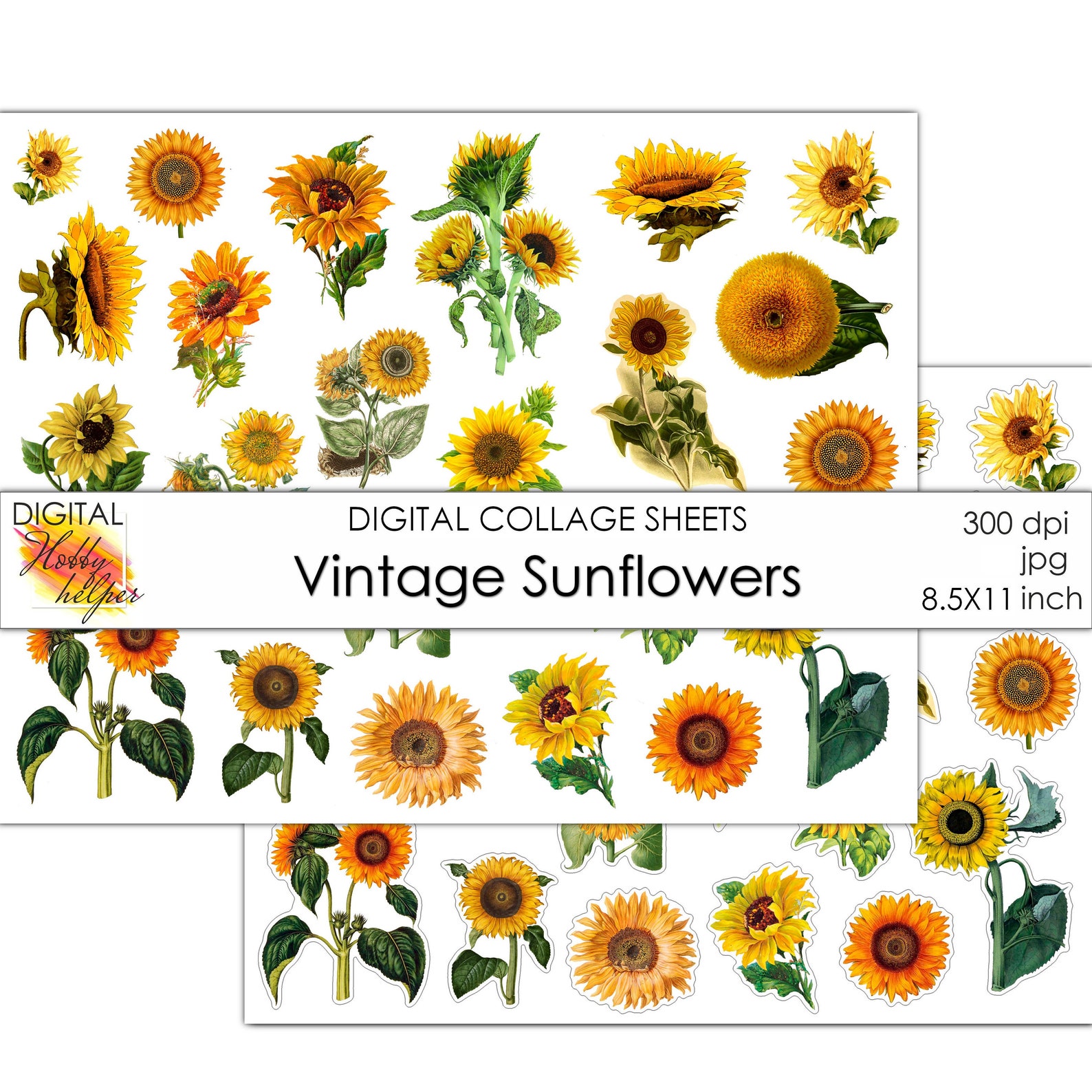 Vintage sunflowers Printable stickers pack Digital collage Etsy