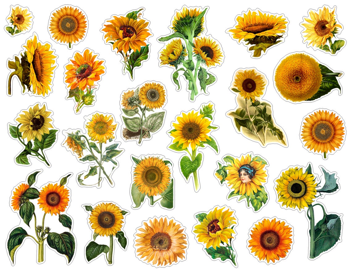 Vintage sunflowers Printable stickers pack Digital collage | Etsy