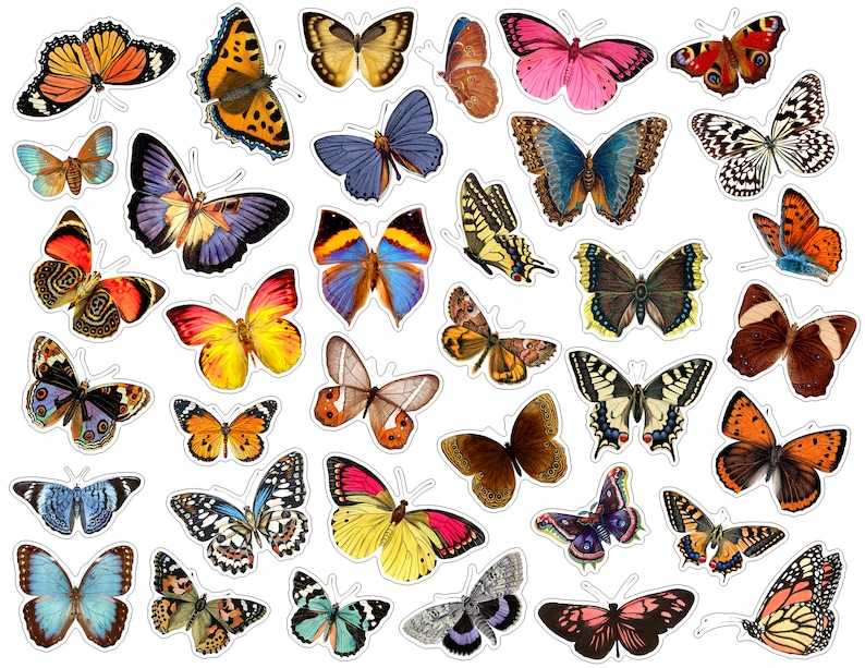 Vintage butterfly Printable stickers pack Digital collage Etsy