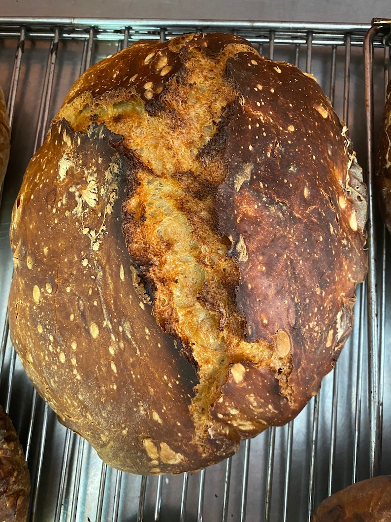 Tomatenbrotmischung mit zwei Dip Gewürzen Bild 5