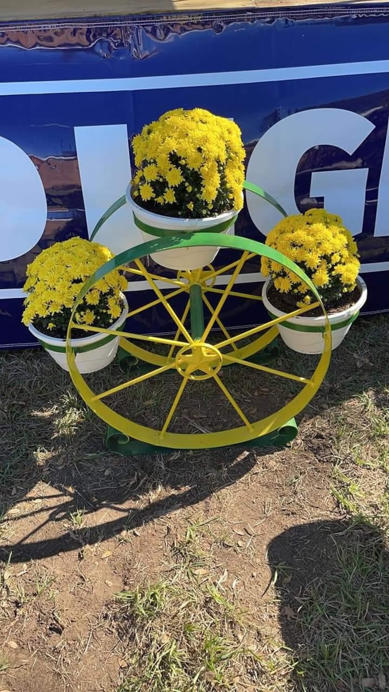 Puede incluir: Un soporte de plantas de metal amarillo con un dise&ntilde;o de rueda. El soporte tiene tres macetas blancas con crisantemos amarillos.